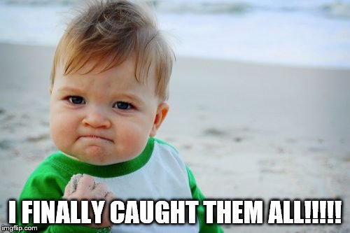 I finally caught them all!!!!!! | I FINALLY CAUGHT THEM ALL!!!!! | image tagged in memes,success kid original | made w/ Imgflip meme maker