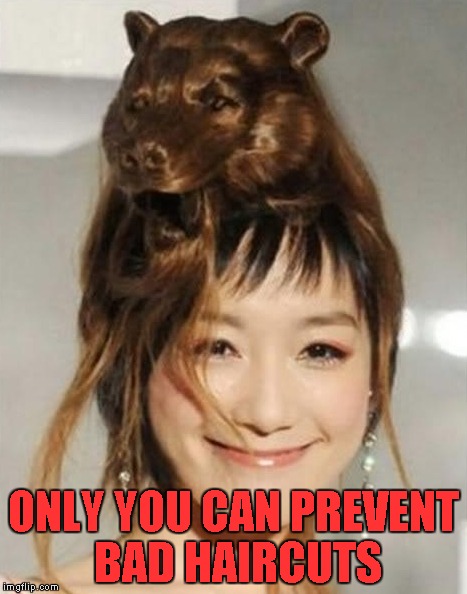 Not sure if that's a bear or not, but my stoned mind saw a bear. | ONLY YOU CAN PREVENT BAD HAIRCUTS | image tagged in funny haircuts,memes,smokey bear,funny,haircut,animals | made w/ Imgflip meme maker