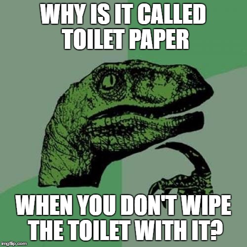 Philosoraptor Meme | WHY IS IT CALLED TOILET PAPER WHEN YOU DON'T WIPE THE TOILET WITH IT? | image tagged in memes,philosoraptor | made w/ Imgflip meme maker