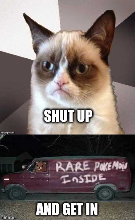 Grumpy Pokevan | SHUT UP; AND GET IN | image tagged in pokemon,grumpy cat | made w/ Imgflip meme maker