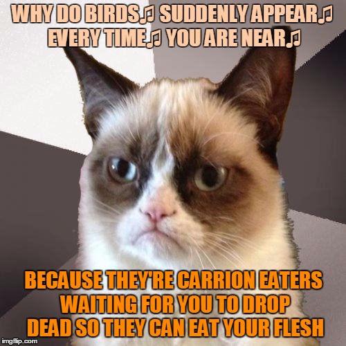Grumpy Cat wants to be Far From You | WHY DO BIRDS♫ SUDDENLY APPEAR♫ EVERY TIME♫ YOU ARE NEAR♫; BECAUSE THEY'RE CARRION EATERS WAITING FOR YOU TO DROP DEAD SO THEY CAN EAT YOUR FLESH | image tagged in musically malicious grumpy cat,memes,grumpy cat,music,musical,the carpenters | made w/ Imgflip meme maker