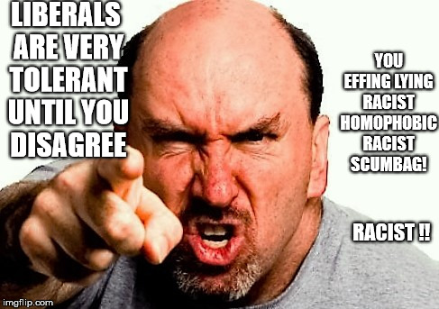 LIBERALS ARE VERY TOLERANT UNTIL YOU DISAGREE; YOU EFFING LYING RACIST HOMOPHOBIC RACIST SCUMBAG! RACIST !! | image tagged in angry,liberals | made w/ Imgflip meme maker