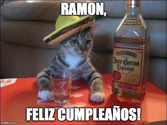 Tequila Cat | RAMON, FELIZ CUMPLEAÑOS! | image tagged in tequila cat | made w/ Imgflip meme maker