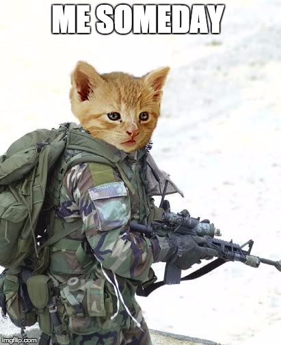Special Forces cat | ME SOMEDAY | image tagged in special forces cat | made w/ Imgflip meme maker