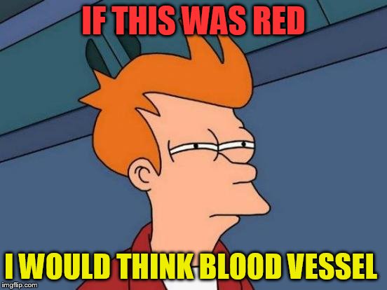 Futurama Fry Meme | IF THIS WAS RED I WOULD THINK BLOOD VESSEL | image tagged in memes,futurama fry | made w/ Imgflip meme maker