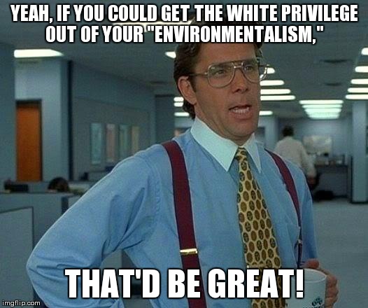 That Would Be Great Meme | YEAH, IF YOU COULD GET THE WHITE PRIVILEGE OUT OF YOUR "ENVIRONMENTALISM,"; THAT'D BE GREAT! | image tagged in memes,that would be great | made w/ Imgflip meme maker