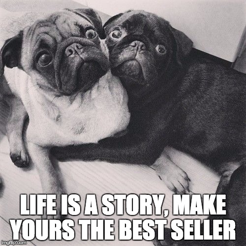 Scared pugs | LIFE IS A STORY, MAKE YOURS THE BEST SELLER | image tagged in scared pugs | made w/ Imgflip meme maker