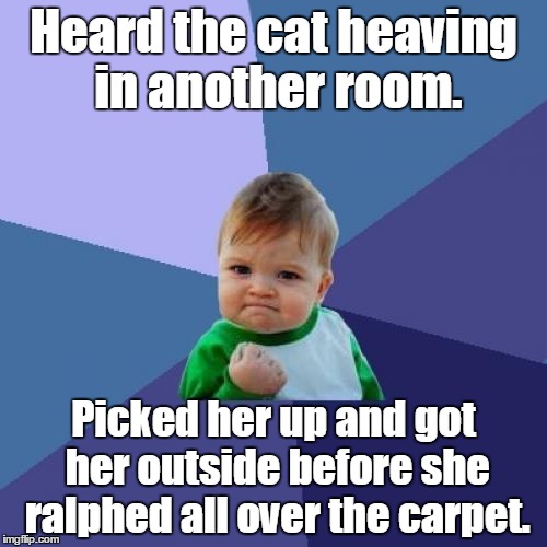 Success Kid Meme | Heard the cat heaving in another room. Picked her up and got her outside before she ralphed all over the carpet. | image tagged in memes,success kid | made w/ Imgflip meme maker