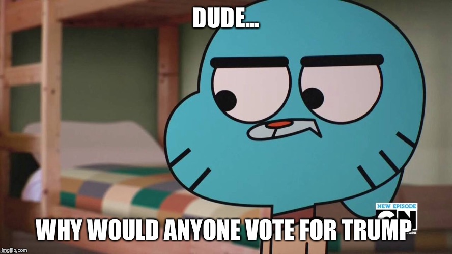 Dude did you really | DUDE... WHY WOULD ANYONE VOTE FOR TRUMP | image tagged in dude | made w/ Imgflip meme maker