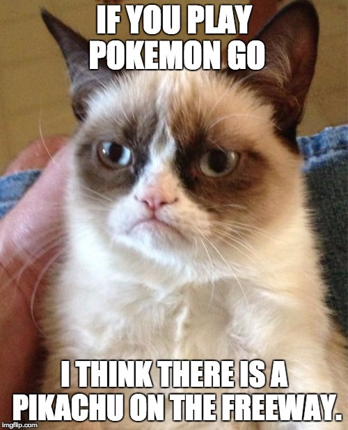Grumpy Cat | IF YOU PLAY POKEMON GO; I THINK THERE IS A PIKACHU ON THE FREEWAY. | image tagged in memes,grumpy cat | made w/ Imgflip meme maker
