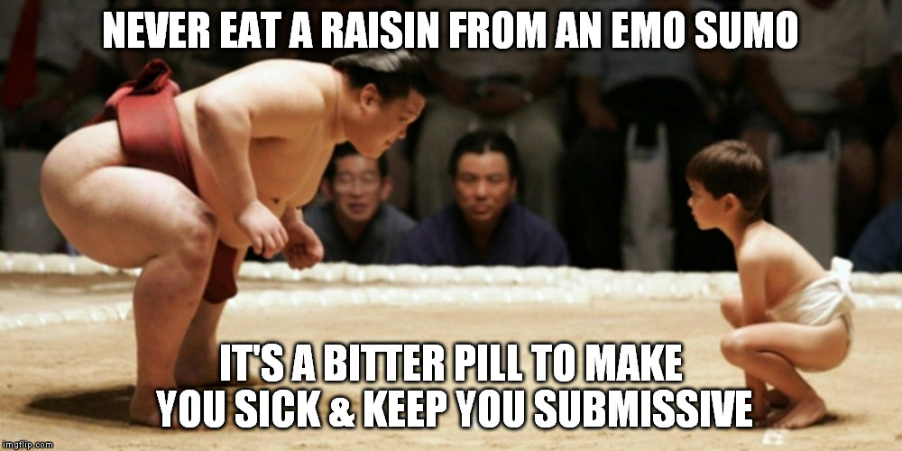 Bad moods wrestle with your judgment on truth. |  NEVER EAT A RAISIN FROM AN EMO SUMO; IT'S A BITTER PILL TO MAKE YOU SICK & KEEP YOU SUBMISSIVE | image tagged in sumo | made w/ Imgflip meme maker