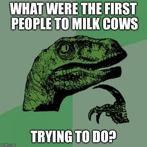 Philosoraptor | WHAT WERE THE FIRST PEOPLE TO MILK COWS; TRYING TO DO? | image tagged in memes,philosoraptor | made w/ Imgflip meme maker