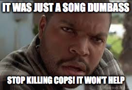 WTF | IT WAS JUST A SONG DUMBASS; STOP KILLING COPS! IT WON'T HELP | image tagged in dumb ass,black lives matter,wtf,ice cube,cops | made w/ Imgflip meme maker