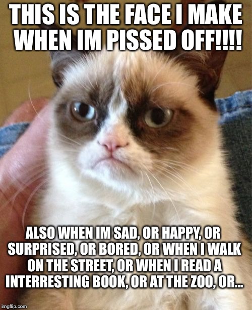 Grumpy Cat | THIS IS THE FACE I MAKE WHEN IM PISSED OFF!!!! ALSO WHEN IM SAD, OR HAPPY, OR SURPRISED, OR BORED, OR WHEN I WALK ON THE STREET, OR WHEN I READ A INTERRESTING BOOK, OR AT THE ZOO, OR... | image tagged in memes,grumpy cat | made w/ Imgflip meme maker