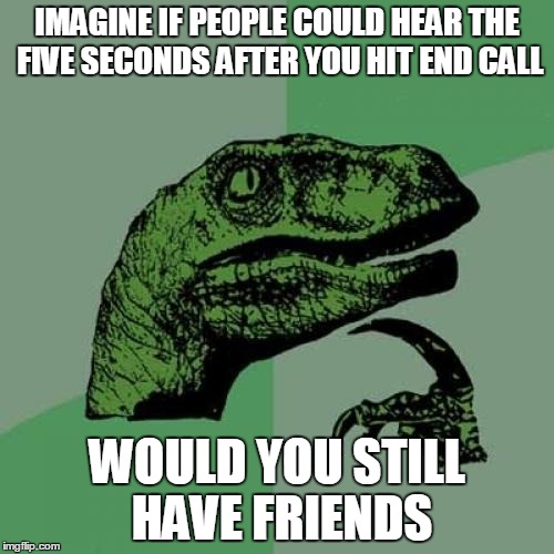Philosoraptor Meme | IMAGINE IF PEOPLE COULD HEAR THE FIVE SECONDS AFTER YOU HIT END CALL; WOULD YOU STILL HAVE FRIENDS | image tagged in memes,philosoraptor | made w/ Imgflip meme maker