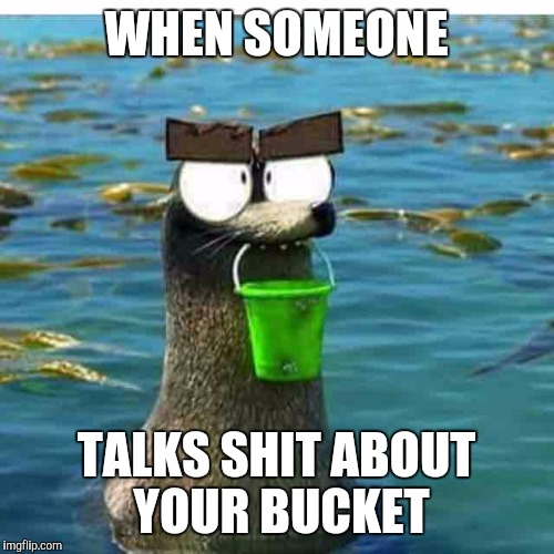 WHEN SOMEONE; TALKS SHIT ABOUT YOUR BUCKET | image tagged in bucket,walrus,sea lion | made w/ Imgflip meme maker
