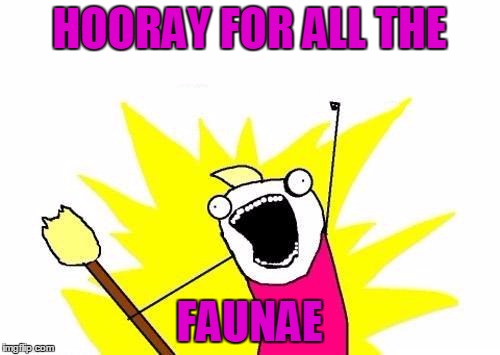 X All The Y Meme | HOORAY FOR ALL THE FAUNAE | image tagged in memes,x all the y | made w/ Imgflip meme maker