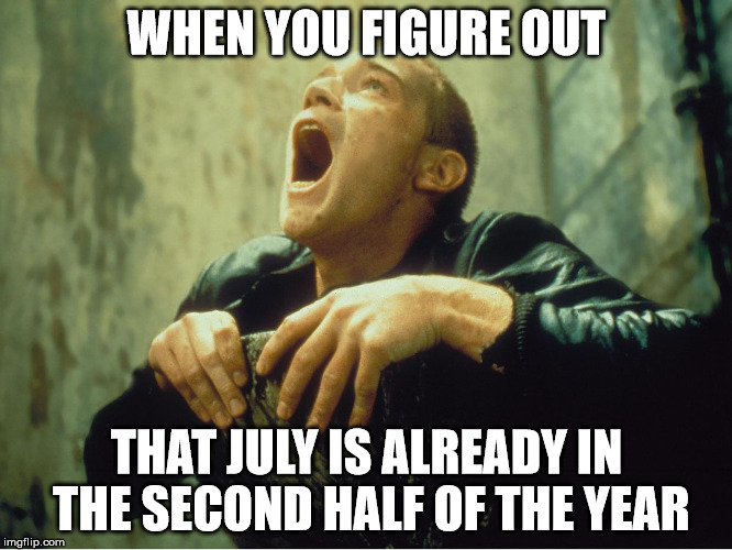 Time flies | WHEN YOU FIGURE OUT; THAT JULY IS ALREADY IN THE SECOND HALF OF THE YEAR | image tagged in tough shit,memes,depressed,summer | made w/ Imgflip meme maker