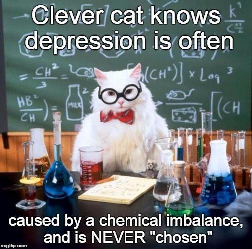 depression cat | Clever cat knows depression is often; caused by a chemical imbalance, and is NEVER "chosen" | image tagged in memes,chemistry cat,depression sadness hurt pain anxiety | made w/ Imgflip meme maker