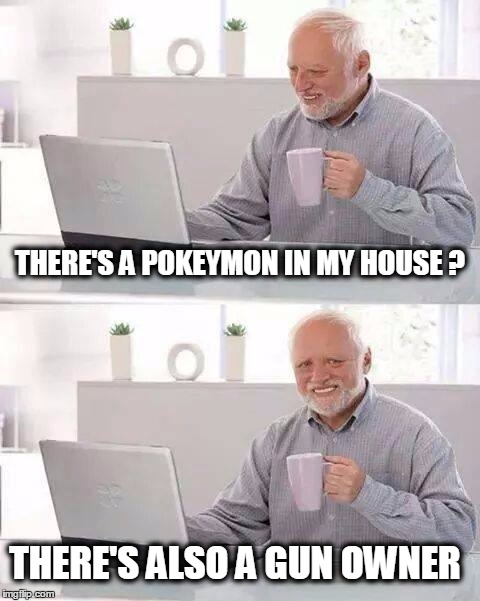 Hide the Pain Harold Meme | THERE'S A POKEYMON IN MY HOUSE ? THERE'S ALSO A GUN OWNER | image tagged in memes,hide the pain harold,pokemon go,one does not simply | made w/ Imgflip meme maker