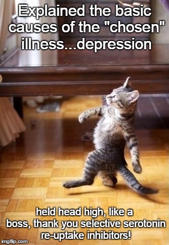 cat explains depression like a boss | Explained the basic causes of the "chosen" illness...depression; held head high, like a boss, thank you selective serotonin re-uptake inhibitors! | image tagged in memes,cool cat stroll,depressed cat,depression sadness hurt pain anxiety | made w/ Imgflip meme maker