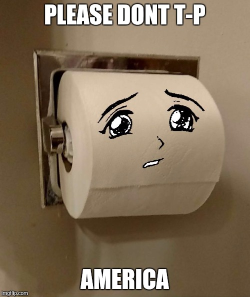 Toilet Paper Senpai | PLEASE DONT T-P; AMERICA | image tagged in toilet paper senpai | made w/ Imgflip meme maker