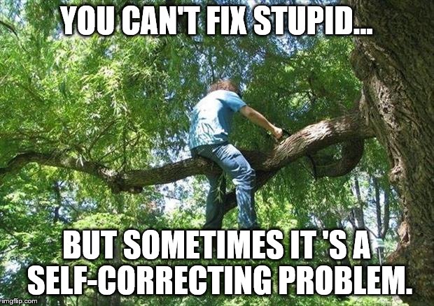 can't fix stupid | YOU CAN'T FIX STUPID... BUT SOMETIMES IT 'S A SELF-CORRECTING PROBLEM. | image tagged in comical | made w/ Imgflip meme maker