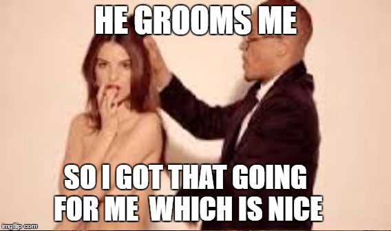HE GROOMS ME SO I GOT THAT GOING FOR ME
 WHICH IS NICE | made w/ Imgflip meme maker