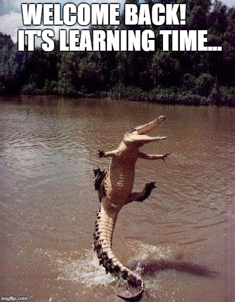 excitedcroc | WELCOME BACK!
        IT'S LEARNING TIME... | image tagged in excitedcroc | made w/ Imgflip meme maker