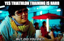 But did you die  | YES TRIATHLON TRAINING IS HARD | image tagged in but did you die | made w/ Imgflip meme maker