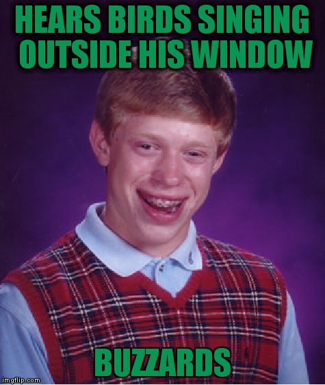 Bad Luck Brian Meme | HEARS BIRDS SINGING OUTSIDE HIS WINDOW BUZZARDS | image tagged in memes,bad luck brian | made w/ Imgflip meme maker