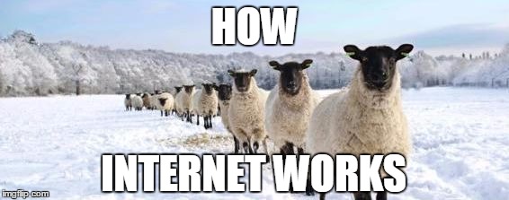 gotta agree with the internet , eh ? | HOW; INTERNET WORKS | image tagged in follow the internet,welcome to the internets,internet,meme,logical | made w/ Imgflip meme maker