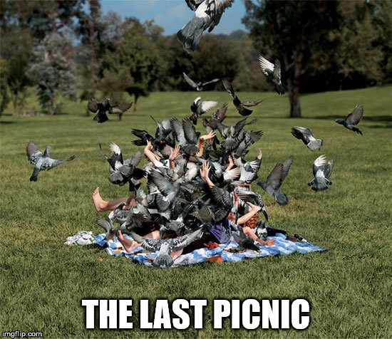 THE LAST PICNIC | made w/ Imgflip meme maker