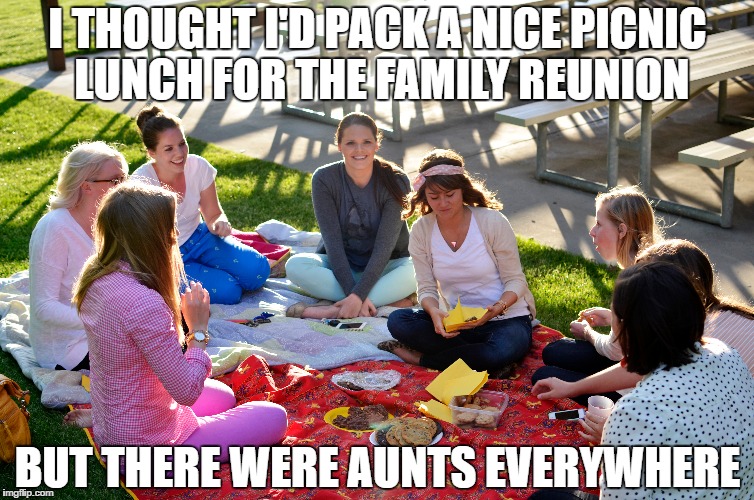 I THOUGHT I'D PACK A NICE PICNIC LUNCH FOR THE FAMILY REUNION; BUT THERE WERE AUNTS EVERYWHERE | image tagged in family,puns,bad pun | made w/ Imgflip meme maker