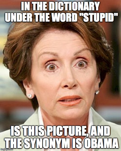 Shocked Pelosi | IN THE DICTIONARY UNDER THE WORD "STUPID"; IS THIS PICTURE, AND THE SYNONYM IS OBAMA | image tagged in shocked pelosi | made w/ Imgflip meme maker
