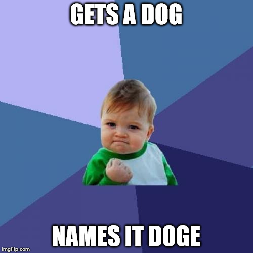 Success Kid Meme | GETS A DOG NAMES IT DOGE | image tagged in memes,success kid | made w/ Imgflip meme maker