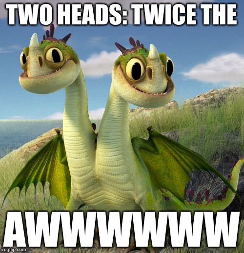 TWO HEADS: TWICE THE; AWWWWWW | image tagged in memes | made w/ Imgflip meme maker