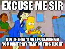 EXCUSE ME SIR BUT IF THAT'S NOT POKEMON GO YOU CANT PLAY THAT ON THIS FLIGHT | image tagged in memes,pokemon go,simpsons,plane | made w/ Imgflip meme maker