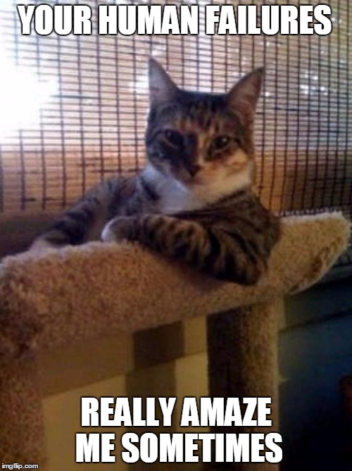 The Most Interesting Cat In The World | YOUR HUMAN FAILURES; REALLY AMAZE ME SOMETIMES | image tagged in memes,the most interesting cat in the world,people,humans,cats,funny cat memes | made w/ Imgflip meme maker