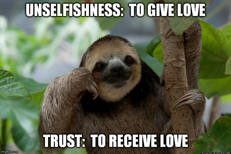 Wise Sloth gives definitions you may not have considered to two common words... | UNSELFISHNESS:  TO GIVE LOVE; TRUST:  TO RECEIVE LOVE | image tagged in wise sloth,meme,love,trust,selfishness | made w/ Imgflip meme maker