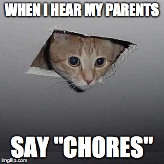 Ceiling Cat Meme | WHEN I HEAR MY PARENTS; SAY "CHORES" | image tagged in memes,ceiling cat | made w/ Imgflip meme maker