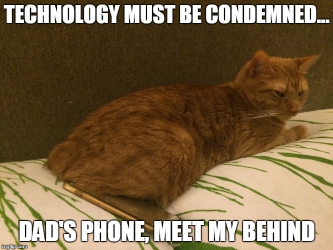 Meet Grandpa Cat | TECHNOLOGY MUST BE CONDEMNED... DAD'S PHONE, MEET MY BEHIND | image tagged in cat,technology | made w/ Imgflip meme maker