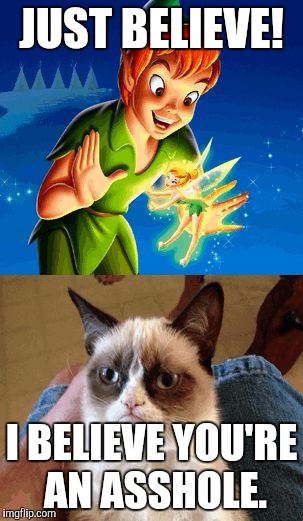 Grumpy Cat Does Not Believe | JUST BELIEVE! I BELIEVE YOU'RE AN ASSHOLE. | image tagged in memes,grumpy cat does not believe | made w/ Imgflip meme maker