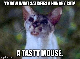 Y'know What Satisfies A Hungry Cat? A Tasty Mouse. | Y'KNOW WHAT SATISFIES A HUNGRY CAT? A TASTY MOUSE. | image tagged in lucky,memes,stuart little,cat | made w/ Imgflip meme maker