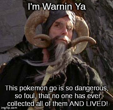 Tim the Enchanter- Yer last warnin | I'm Warnin Ya; This pokemon go is so dangerous, so foul, that no one has ever collected all of them AND LIVED! | image tagged in tim the enchanter,monty python,warning,pokemon go | made w/ Imgflip meme maker