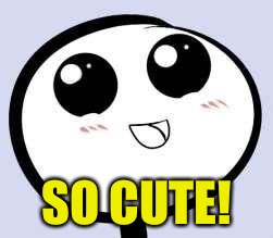 just cute | SO CUTE! | image tagged in just cute | made w/ Imgflip meme maker