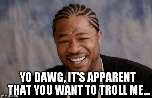 Yo Dawg Heard You Meme | YO DAWG, IT'S APPARENT THAT YOU WANT TO TROLL ME... | image tagged in memes,yo dawg heard you | made w/ Imgflip meme maker