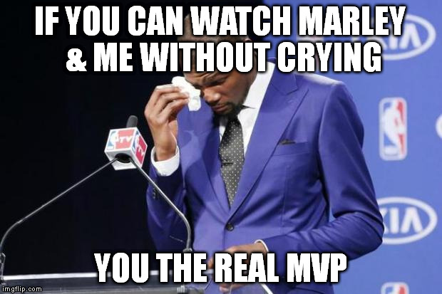 You The Real MVP 2 Meme | IF YOU CAN WATCH MARLEY & ME WITHOUT CRYING; YOU THE REAL MVP | image tagged in memes,you the real mvp 2 | made w/ Imgflip meme maker