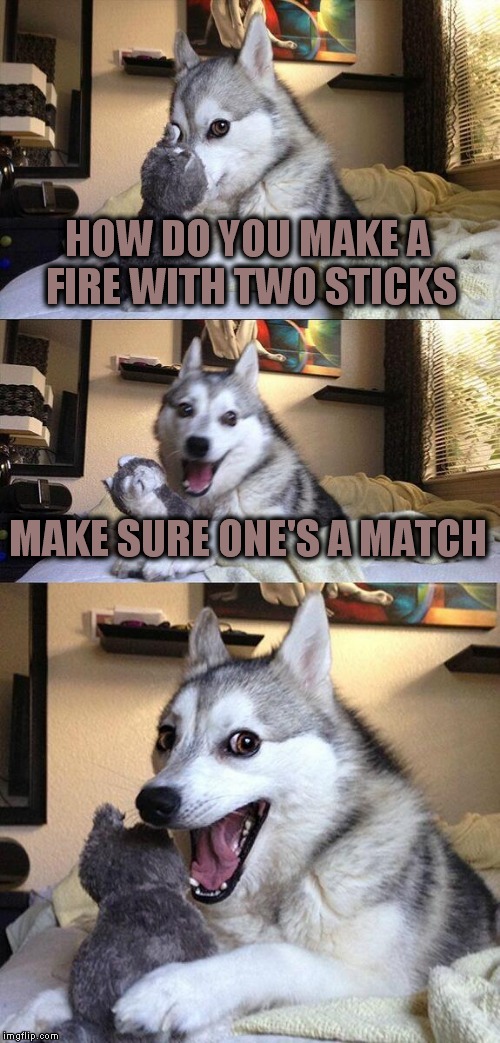 Bad Pun Dog | HOW DO YOU MAKE A FIRE WITH TWO STICKS; MAKE SURE ONE'S A MATCH | image tagged in memes,bad pun dog | made w/ Imgflip meme maker