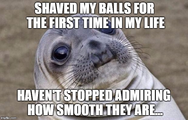 Awkward Moment Sealion Meme | SHAVED MY BALLS FOR THE FIRST TIME IN MY LIFE; HAVEN'T STOPPED ADMIRING HOW SMOOTH THEY ARE... | image tagged in memes,awkward moment sealion,AdviceAnimals | made w/ Imgflip meme maker